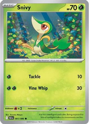 Snivy 1 - SV Black Bolt